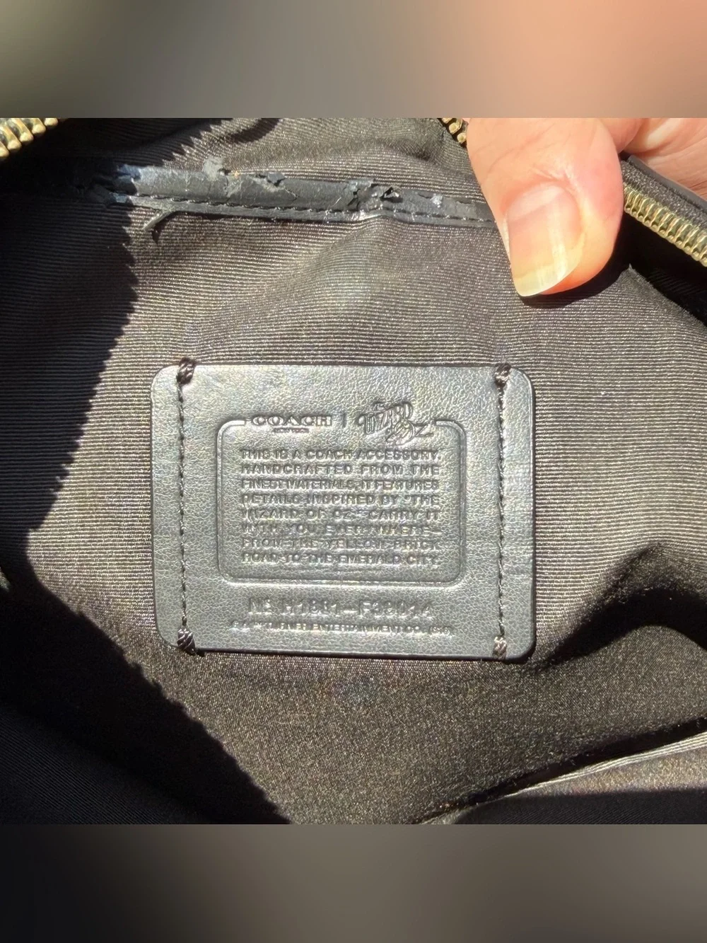 COACH Large Pouch With Wizard Of Oz Patches F39014